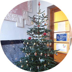 Weihnachtsbaum vor Glastür.