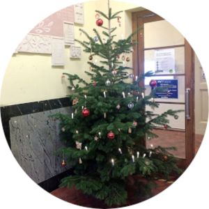 Weihnachtsbaum im Eingangsbereich der Volkshochschule Altenburg.